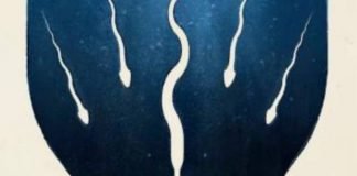 Geny, geniusz i genezis. Recenzja książki Galapagos