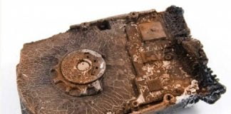 Paleontologia przyszłości. Recenzja książki Za milion lat od dzisiaj